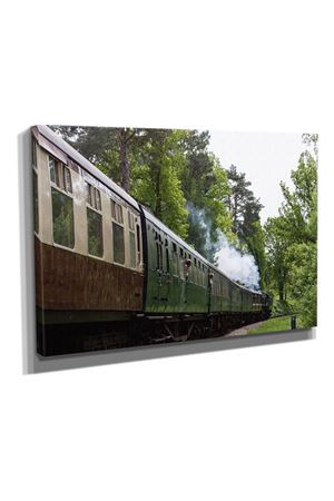 Ormanda Tren Dekoratif Tablo – D-T0019